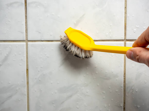 Best Toxic Mold Removal  in Garden City, MI