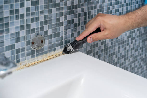 Best Certified Mold Removal  in Garden City, MI