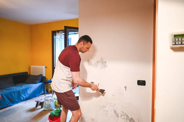 Best Black Mold Removal  in Garden City, MI